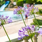 Palme D\'Or