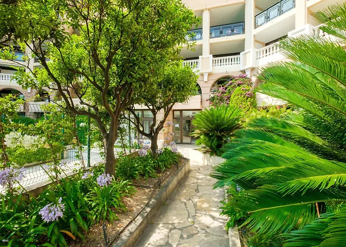 Palme D\'Or