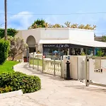 Palme D\'Or